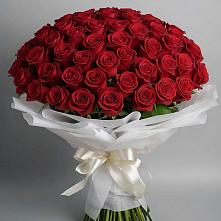 Букет 101 Красная роза Блэк Мэджик в Курдюковской