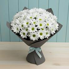 Букет цветов из:  Хризантемы #REPLACE_PRED# Курдюковской