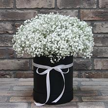 Цветочная композиция из Гипсофила в шляпной коробке в Курдюковской