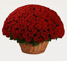 Премиум букет из: Розы в Курдюковской