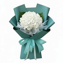 Букет цветов из:  Гортензия #REPLACE_PRED# Курдюковской